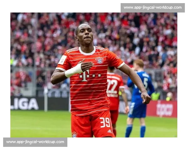 特尔 5000 万投热刺!拜仁 1.5 亿引援全军覆没净赚 2200 万 特尔 5000 万投热刺!拜仁 1.5 亿引援全军覆没净赚 2200 万