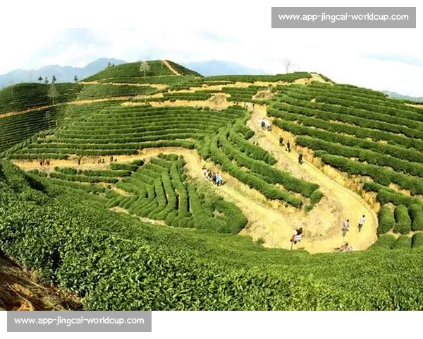 绿动浙江:体育经济的生态突围 绿动浙江:体育经济的生态突围