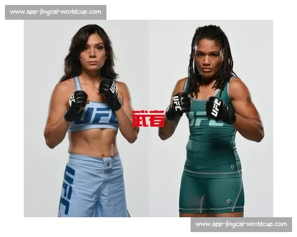 UFC 量级划分详解:从蝇量级到重量级全解析 UFC 量级划分详解:从蝇量级到重量级全解析